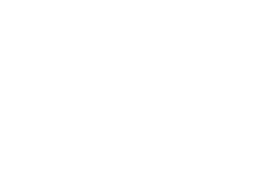 AI hold the hype